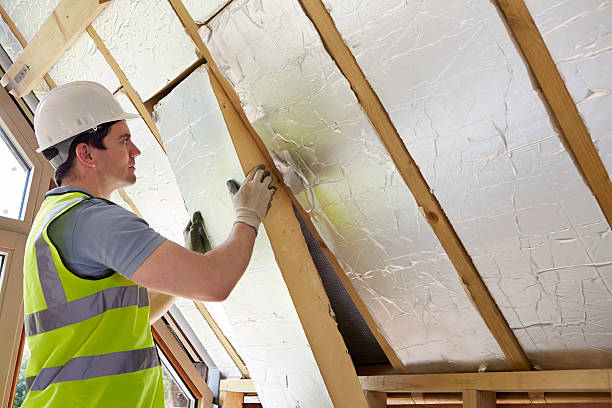 Best Insulation for New Construction  in Poipu, HI