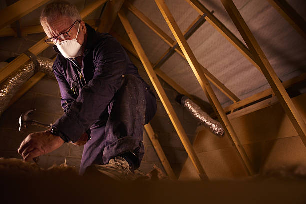 Best Spray Foam Insulation  in Poipu, HI